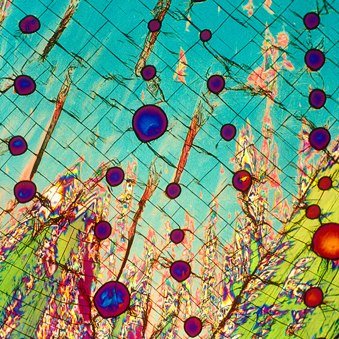 色彩斑斕的葡萄酒在顯微鏡下是什么樣的？