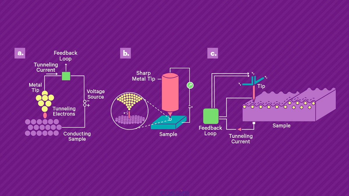 掃描隧道顯微鏡的工作原理。 a) 將鋒利的導電尖端靠近導電樣品表面并施加偏置電壓，從而產(chǎn)生穿過間隙的小隧道電流。 該電流由高增益放大器讀出。 b) 壓電掃描系統(tǒng)用于控制尖端與表面的分離并在表面上掃描尖端。 當尖端保持在恒定高度時，電流幅度可用作尖端表面分離的直接測量，從而實現(xiàn)地形成像。 或者，可以使用反饋回路通過改變定位系統(tǒng)的控制電壓來保持恒定電流，該控制電壓被記錄下來并產(chǎn)生樣品上的形貌和電子密度的測量值。