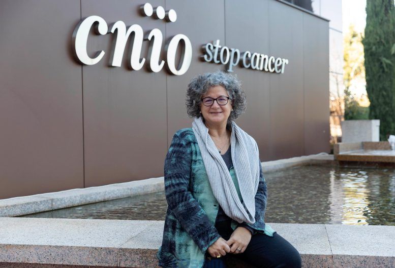 努里亞&middot;馬拉茨