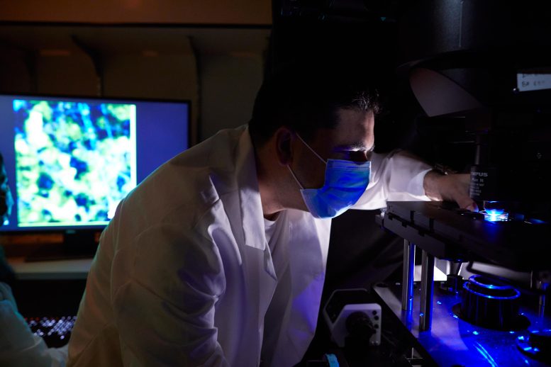 何塞&middot;哈維爾&middot;布拉沃&middot;科爾德羅