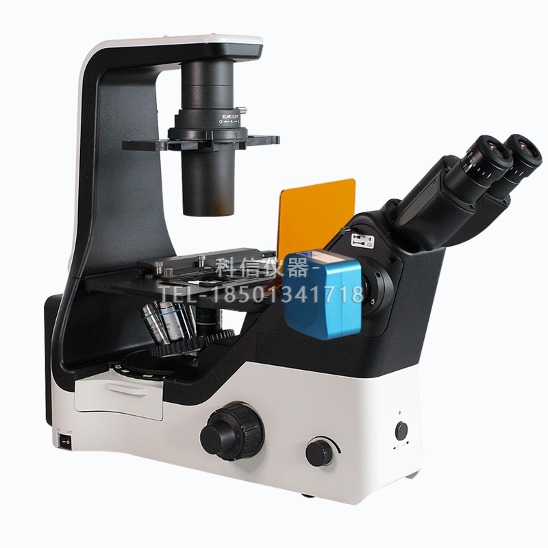 FRD-420科研級(jí)三目倒置熒光顯微鏡細(xì)胞觀察