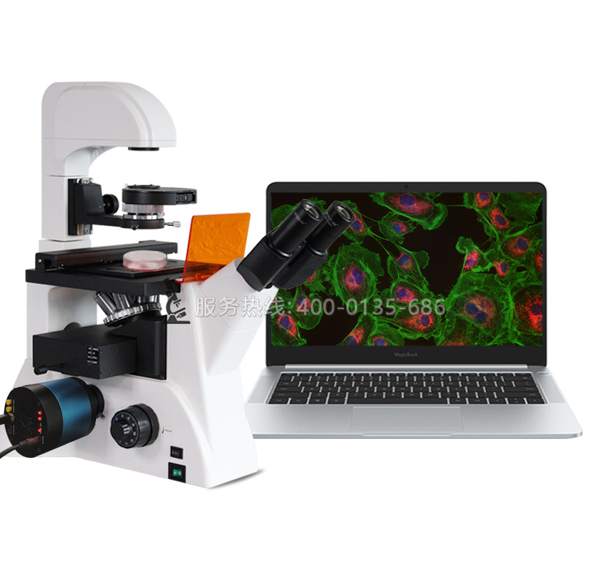 FRD-6CL科研級(jí)倒置熒光顯微鏡LED三波段熒光激發(fā)DAPI FITC